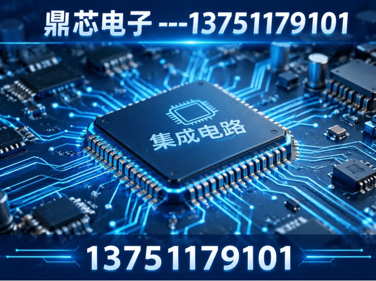 上海国产IC展示图